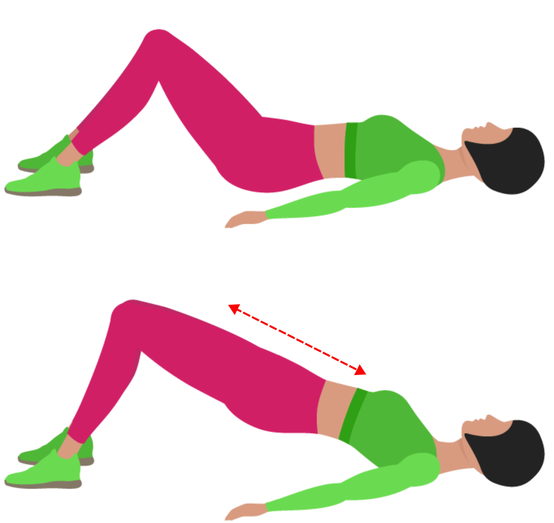 bridge exercise